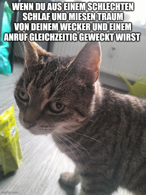 picdump979_025