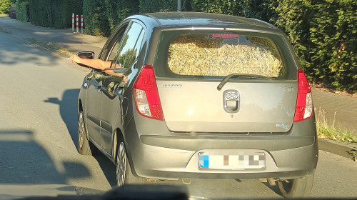 picdump979_108