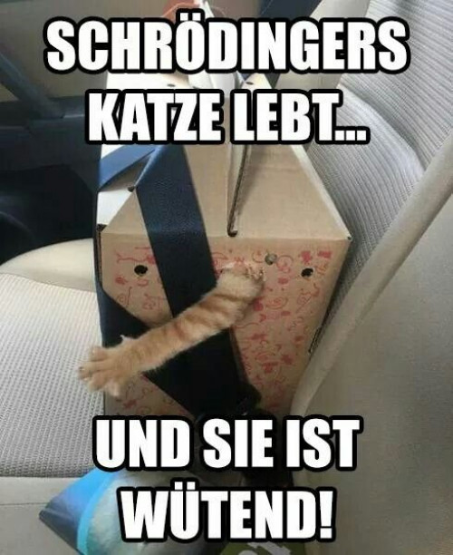 picdump980_09