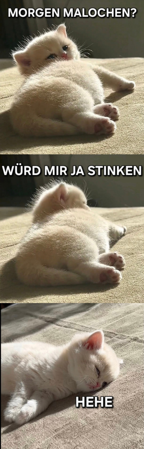 picdump981_08