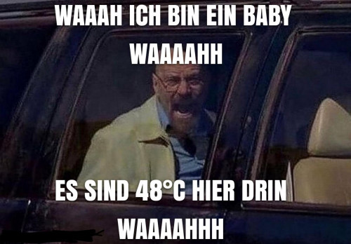 picdump981_09