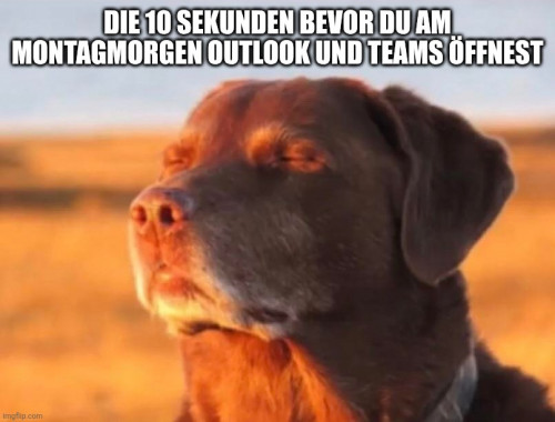 picdump983_10