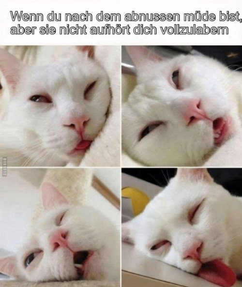 picdump983_58