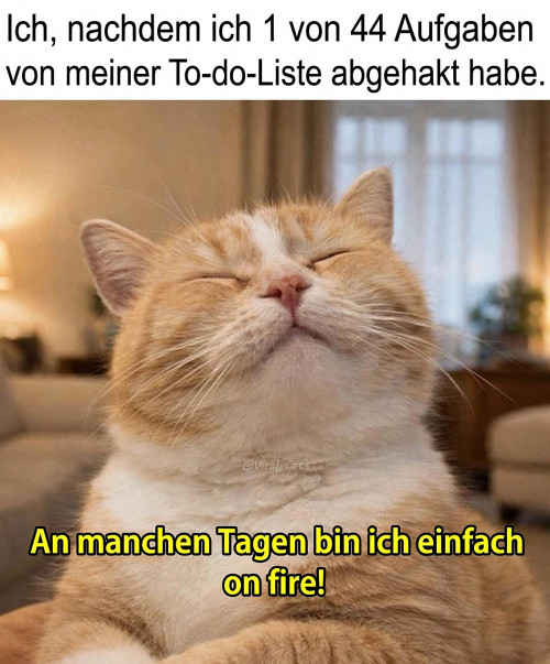 picdump986_37