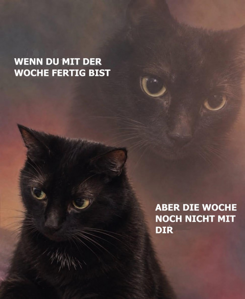 picdump987_12