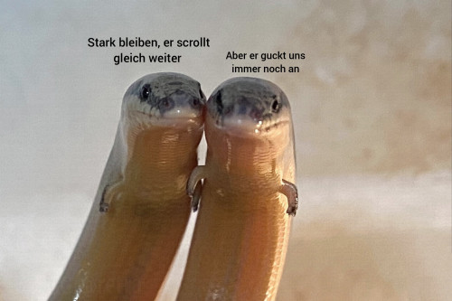 picdump987_13