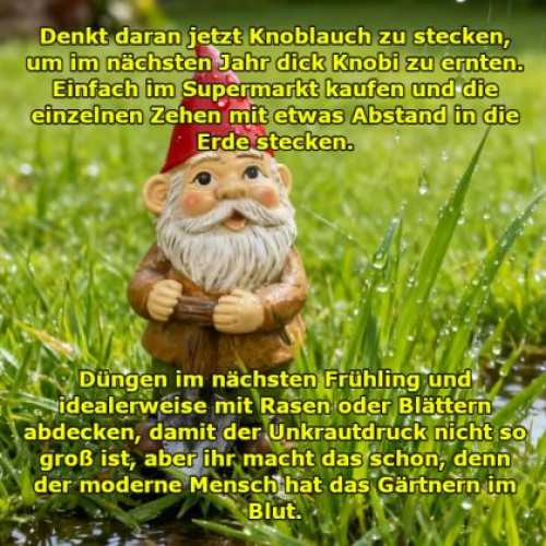 picdump987_19