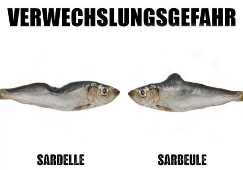 picdump989_08