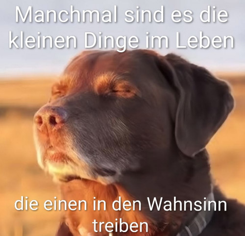 picdump989_32