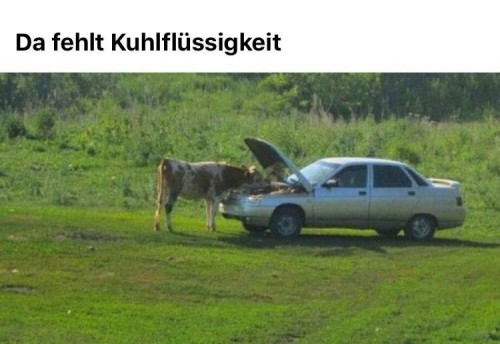picdump990_02