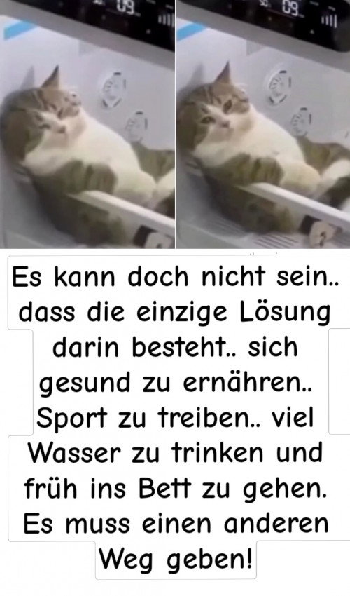 picdump990_03