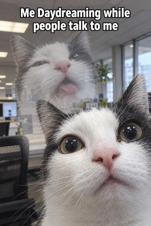 picdump990_23