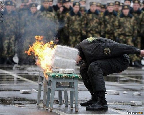 hornoxe.com_richtige_moment_01_06