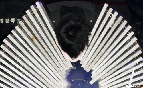 hornoxe.com_richtige_moment_01_14