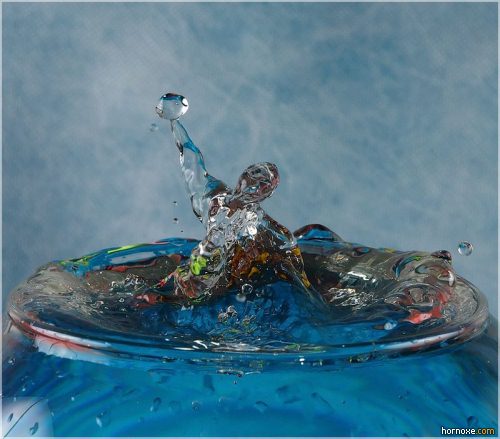 hornoxe.com_richtige_moment_01_16