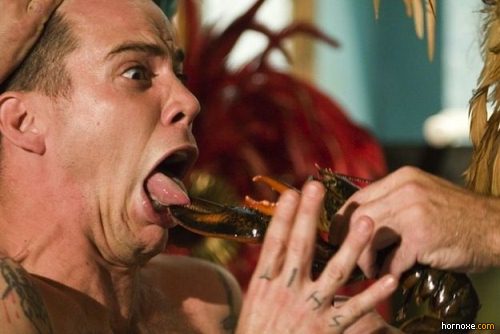 hornoxe.com_richtige_moment_01_23