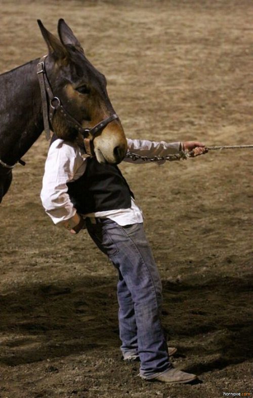 hornoxe.com_richtige_moment_01_29