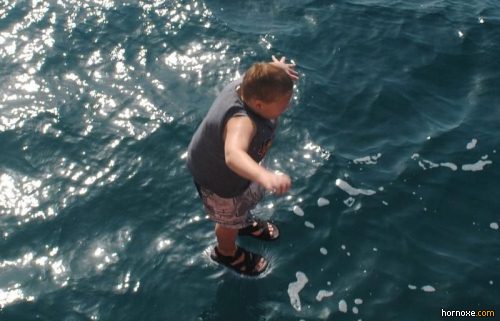 hornoxe.com_richtige_moment_01_33