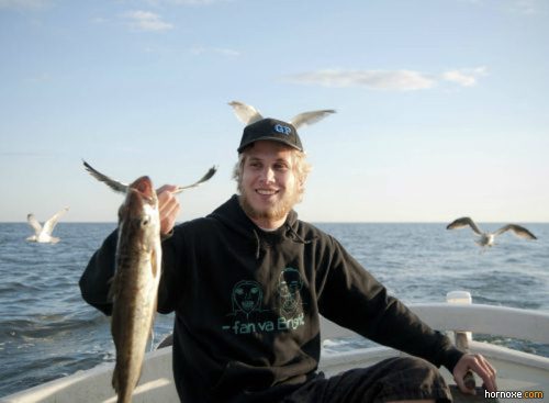 hornoxe.com_richtige_moment_01_36