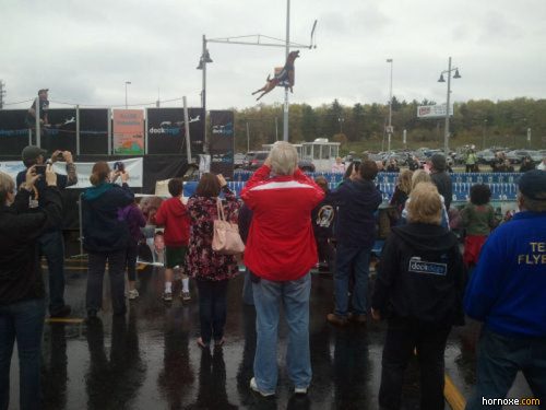 hornoxe.com_richtige_moment_01_37