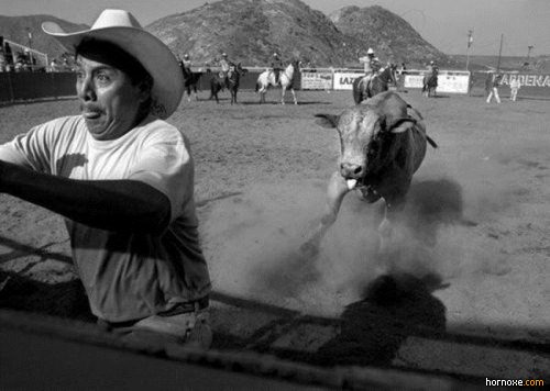 hornoxe.com_richtige_moment_01_40