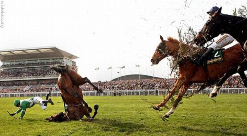 PUBLISHED by catsmob.com