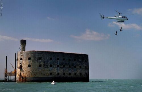 PUBLISHED by catsmob.com