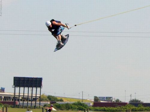 PUBLISHED by catsmob.com