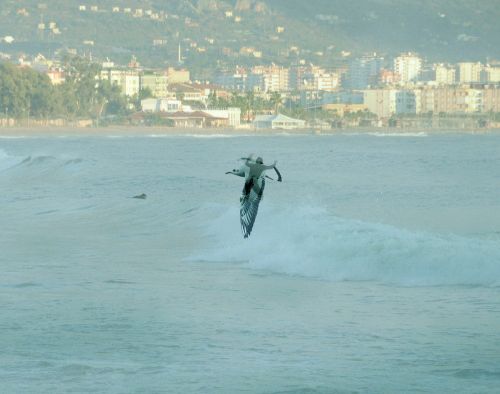 hornoxe.com_richtige_moment_02_18