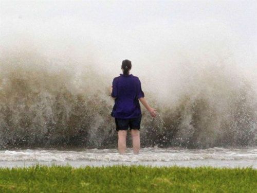 PUBLISHED by catsmob.com