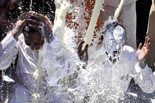 PUBLISHED by catsmob.com