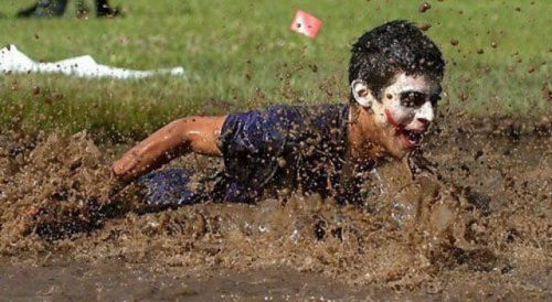 PUBLISHED by catsmob.com