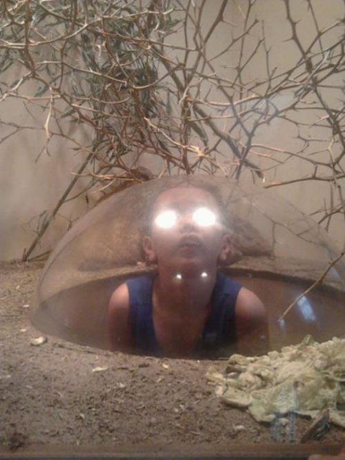 PUBLISHED by catsmob.com