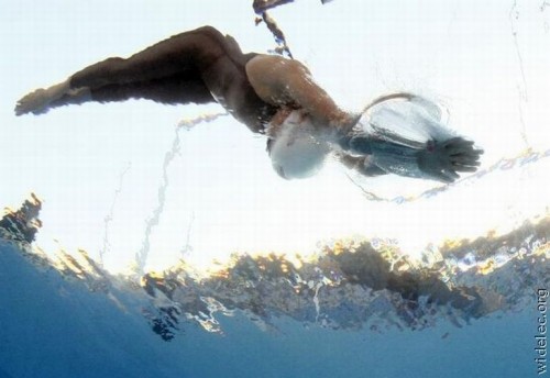 PUBLISHED by catsmob.com