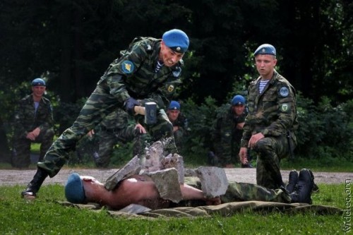 PUBLISHED by catsmob.com