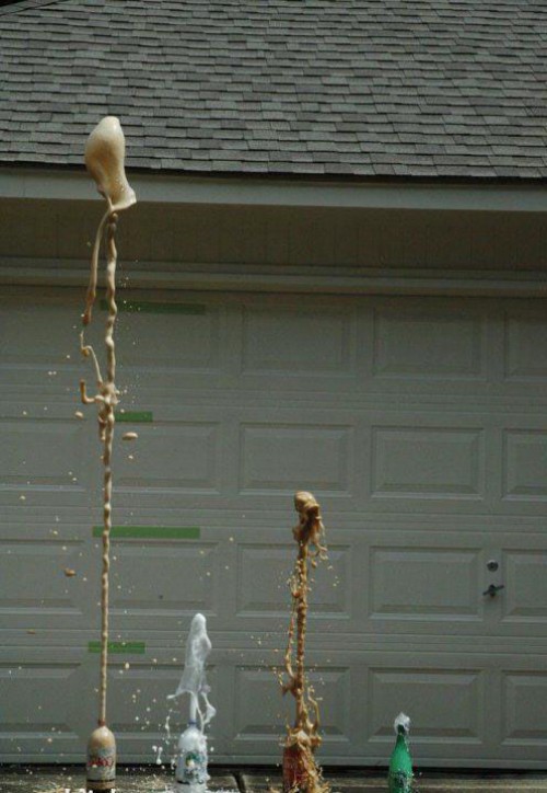 hornoxe.com_richtige_moment_03_14