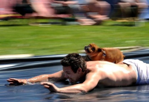 hornoxe.com_richtige_moment_03_16