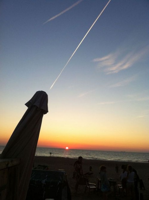 PUBLISHED by catsmob.com