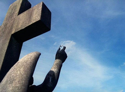 PUBLISHED by catsmob.com