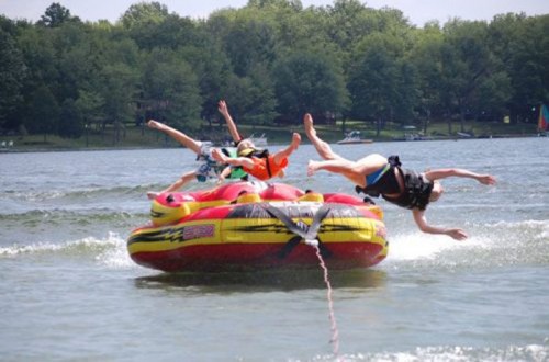 PUBLISHED by catsmob.com