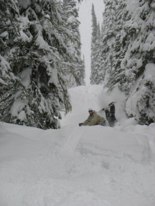 PUBLISHED by catsmob.com