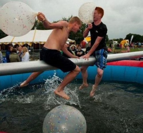 PUBLISHED by catsmob.com