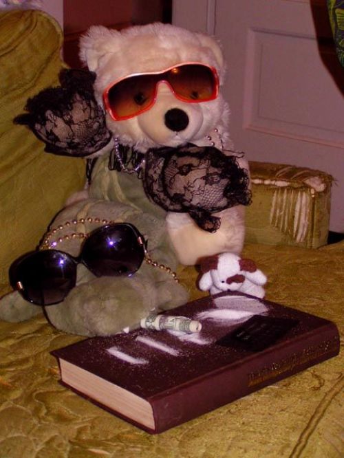 MINOLTA DIGITAL CAMERA         