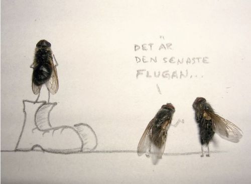 dead_flies_art_10