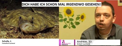 hornoxe.com_userpicdump01_035