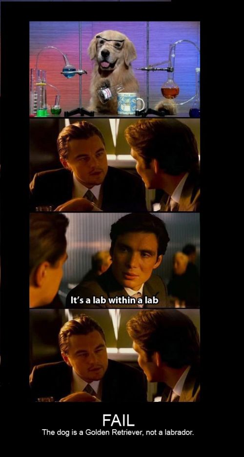 hornoxe.com_userpicdump01_112