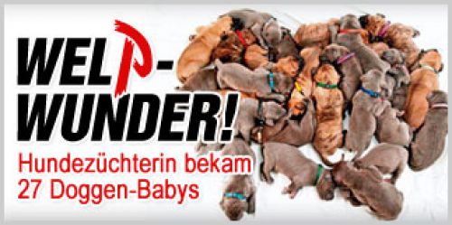 hornoxe.com_userpicdump01_171