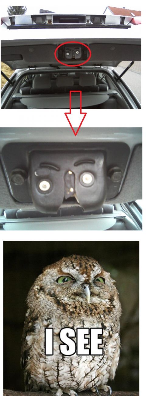 hornoxe.com_userpicdump02_081