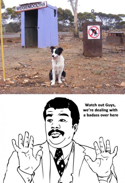 hornoxe.com_userpicdump05_19