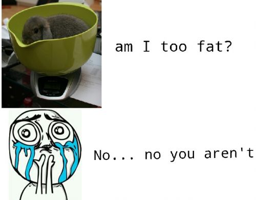 hornoxe.com_userpicdump05_22